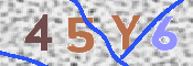 Prove you are human by typing this text
