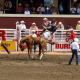 Stampeding sa Calgary