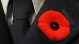 Why is everyone wearing poppies?
