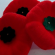 C'est le jour du Souvenir, et les Canadiens portent des coquelicots