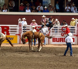 Calgary Stampede rodeo