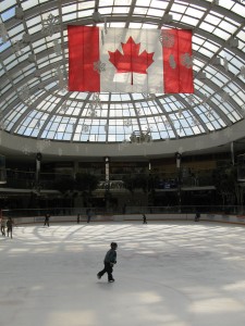 Edmonton hockey rink